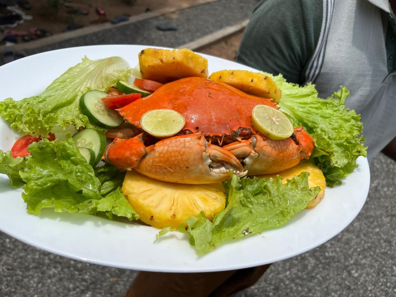 Whole Mud Crab