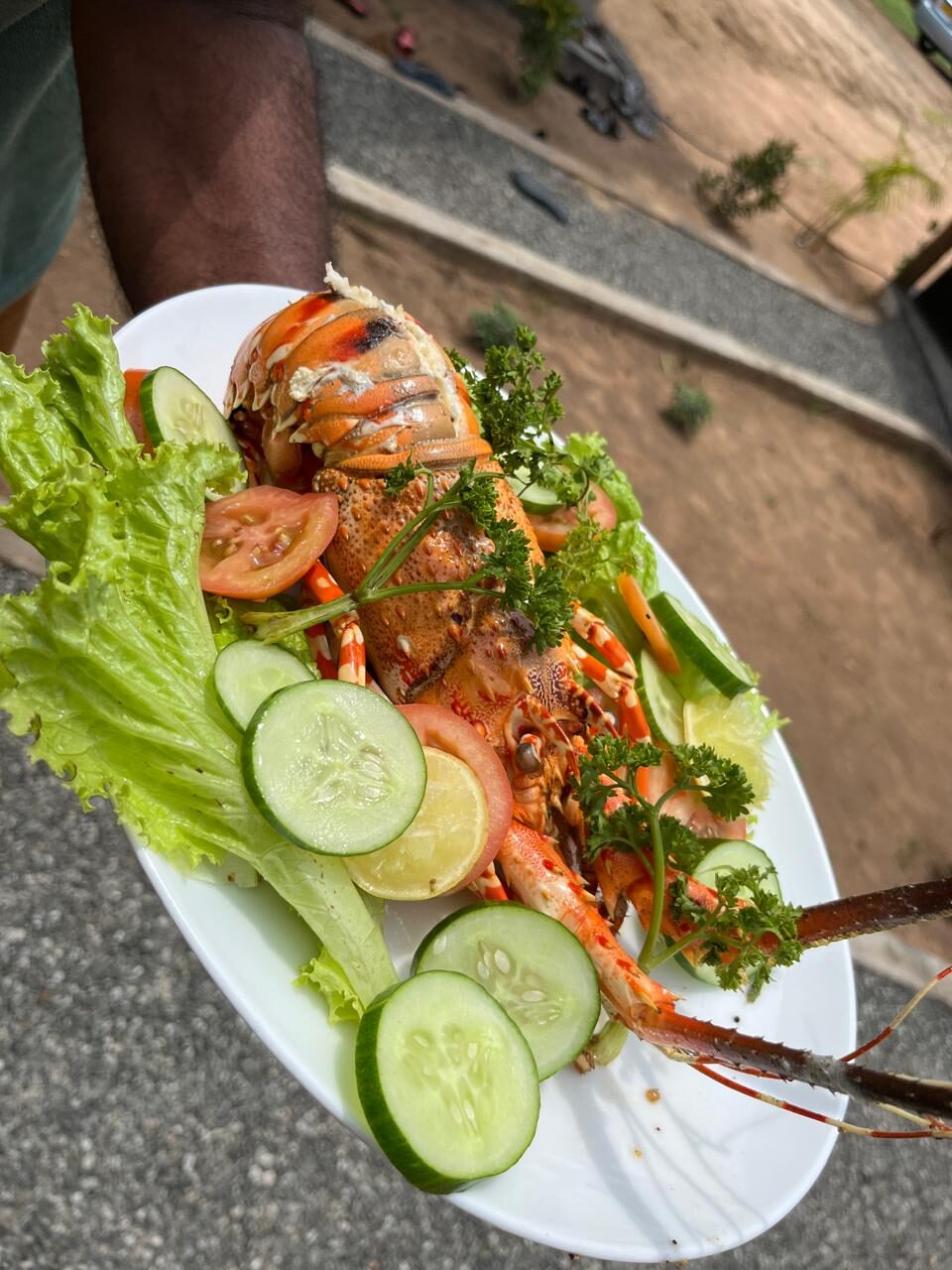 Grilled Lobster